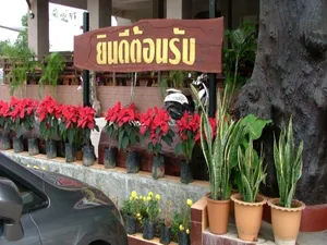 Image of Porn 3 Hotel