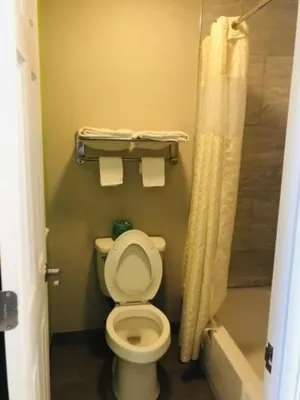 Image of Flamingo Beach Inn