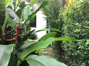 Image of Tandeaw View