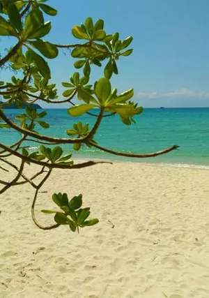 Image of Goodview Kohkood