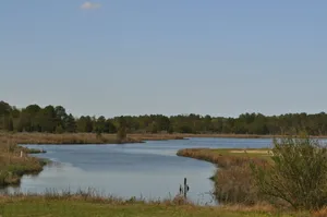 Image of Camp Cardinal Gloucester Point