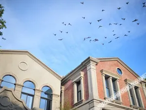 Image of Xiamen Gulangyu Heitan Hotel