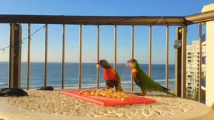 Image of Erika's Holiday Apartment