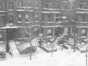 Image of The Mansion On O Street