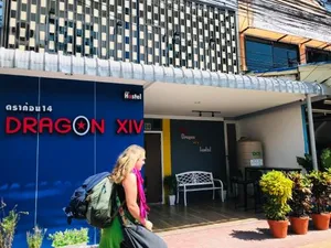 Image of Dragon XIV