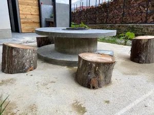 Image of Ten Mentigi