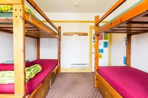 Image of Green Tortoise Hostel