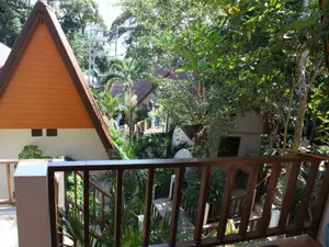 Image of Tok Little Hut