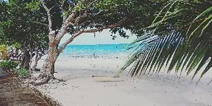 Image of Coral Reef Holidays