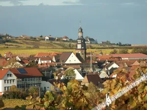 Image of Weinhaus Henninger