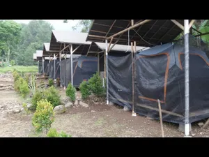 Image of Herman Lantang Camp