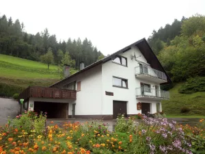 Image of Modern Apartment in Bad Peterstal-Griesbach with Vineyards