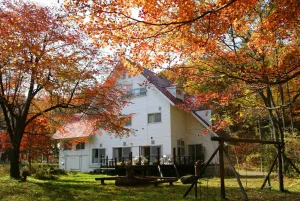 Image of Alpine Inn Mizushiro