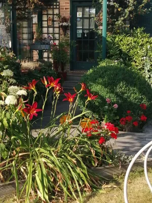 Image of Le Frêne Fringant