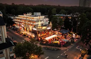 Image of The Flamingo