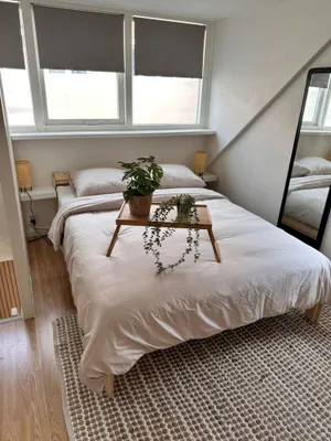 Image of Tiny House in Noordwijk with garden