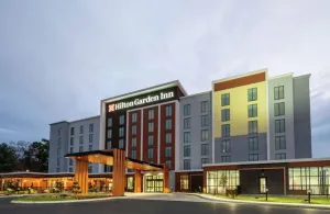 Image of Hilton Garden Inn Austin Central