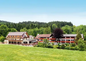 Image of Hotel Grüner Wald