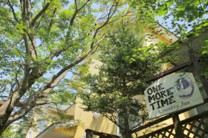 Image of One More Time