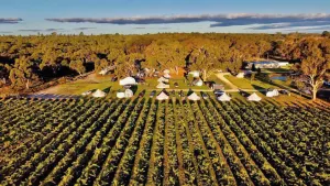Image of Coonawarra Bush Holiday Park