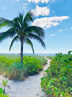 Image of Fort Myers Beach Area 2680