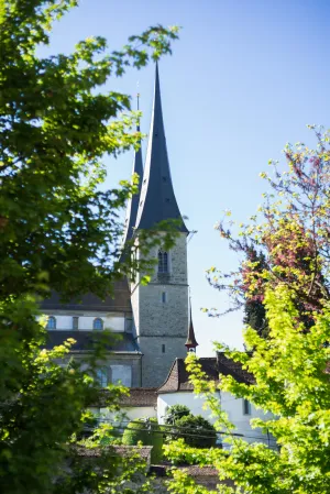 Image of Appartements Hofquartier