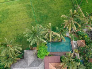 Image of Uma Linggah Resort by Puri Signatures