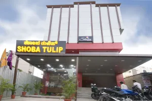 Image of Shoba Tulip