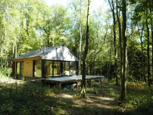 Image of Modern Chalet Located in the Woods