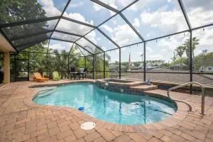 Image of Splashing Dolphins