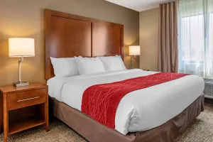 Image of Comfort Inn La Porte