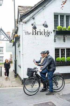 Image of The Bridge