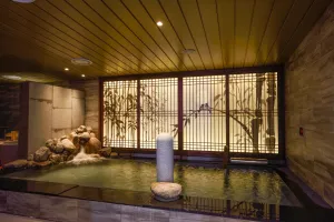 Image of Dormy Inn SEOUL Gangnam