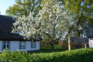 Image of Captain Pahlen Ferienanlage