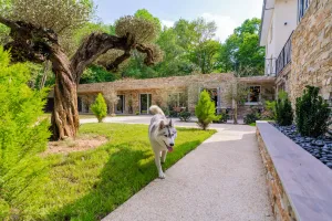 Image of L'éclat de Lune