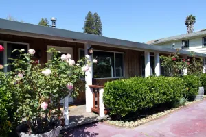 Image of The Woods Hotel - Gay LGBTQ Cabins