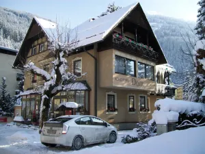 Image of The Dorn Gastein
