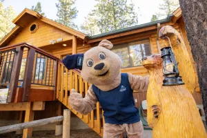 Image of Retreat to Fox Farm-1662 by Big Bear Vacations