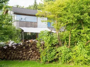 Image of Huis aan het Park
