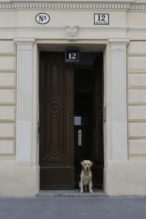 Image of Old Vienna Apartments