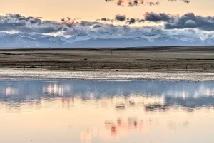 Image of Updated Townhouse with Pergola, Walk to Downtown!