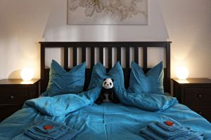 Image of Max Aviation Villa & Apartments