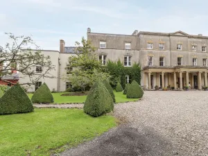 Image of Cook's Flat