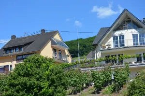 Image of Weingut Sauer-Kettermann