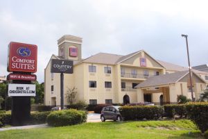 Image of Comfort Suites Bush Intercontinental Airport