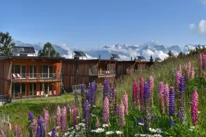 Image of L'Aiguille Grive Chalets Hotel