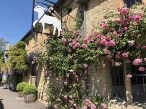 Image of The Lamb Inn