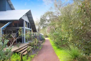 Image of Peppy Tree House