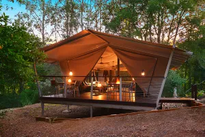 Image of Starry Nights Luxury Camping
