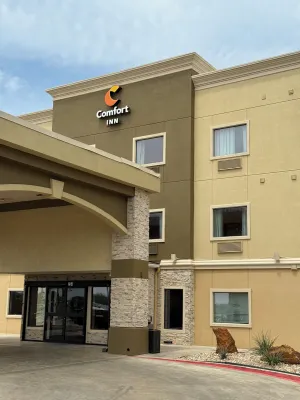 Image of Comfort Inn Early Brownwood